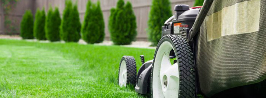 Odchwaszczanie gruntów