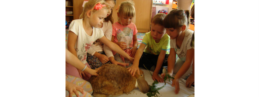 Króliki gościły w zerówce.
